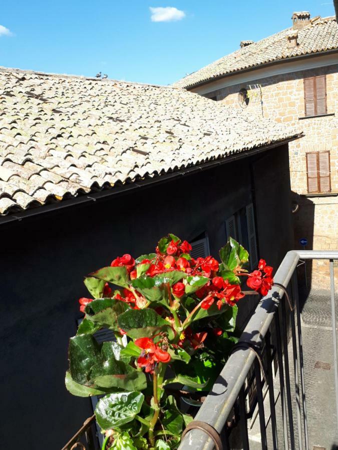 Orvieto House Apartment Exterior photo